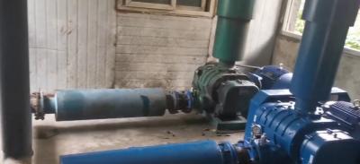 污水處理廠羅茨車鼓風(fēng)機(jī)